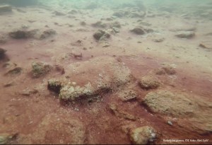 SVET POD VODO SLIKE svetpodvodo.com Rabeljsko jezero, foto: Aleš Sulič