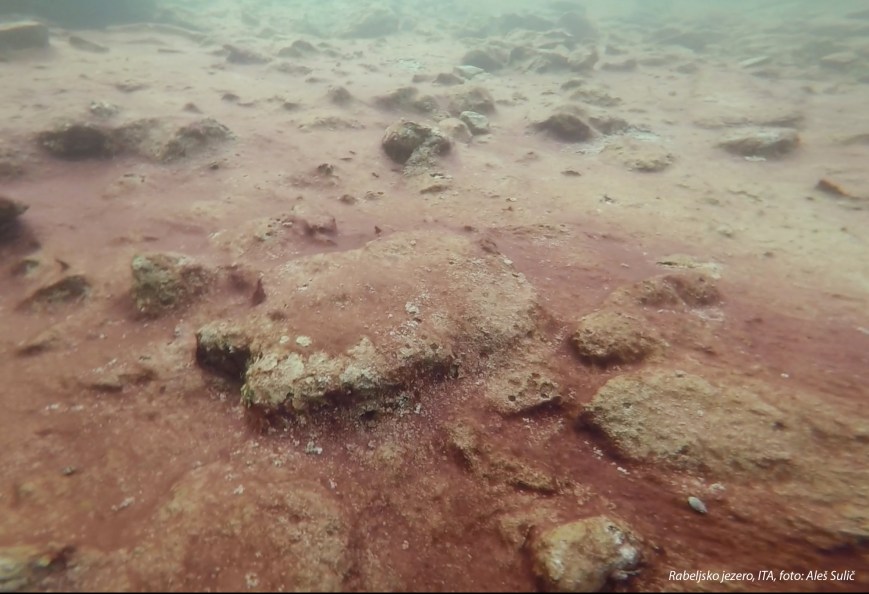 SVET POD VODO SLIKE svetpodvodo.com Rabeljsko jezero, foto: Aleš Sulič