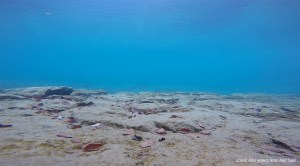 SVET POD VODO Jezero Završnica / Završniško jezero, foto: Aleš Sulič