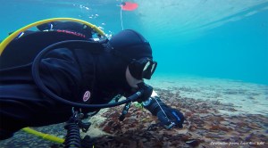 SVET POD VODO Jezero Završnica / Završniško jezero, foto: Aleš Sulič