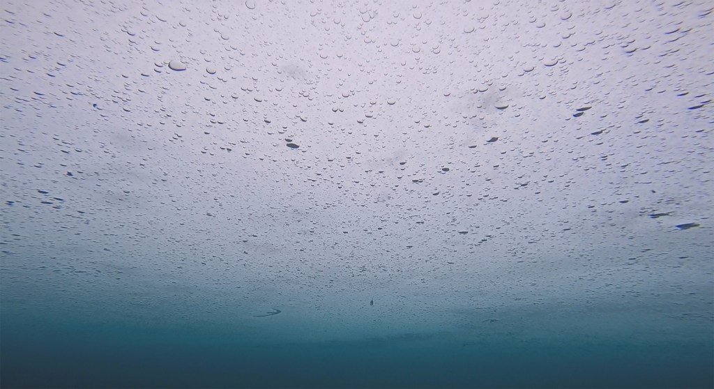 Jezero jasna potapljanje pod ledom, foto: Aleš Sulič 2018