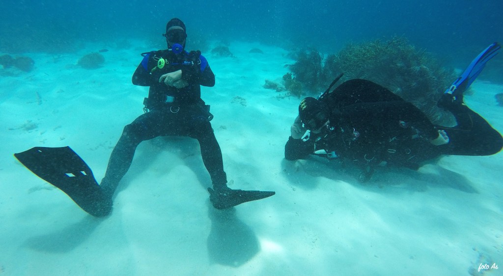 Bonaire diving 2018