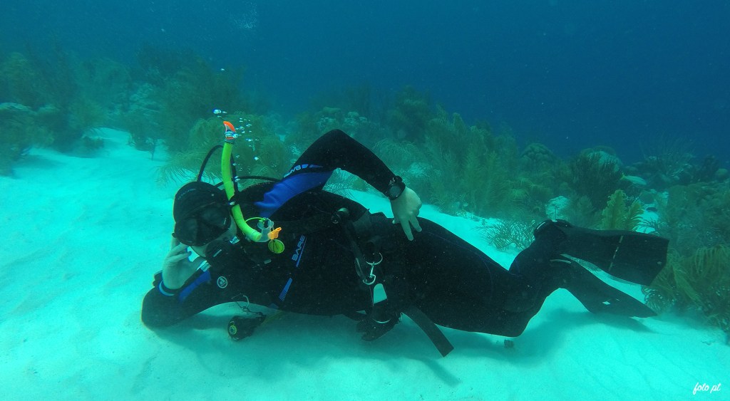 Bonaire diving 2018