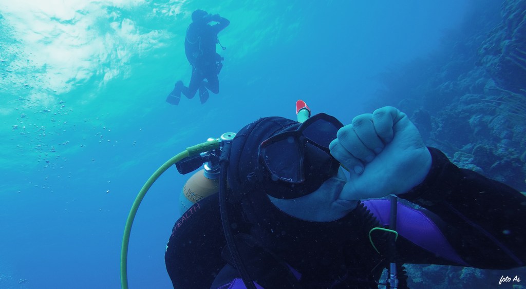 Bonaire diving 2018
