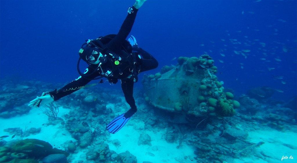 Bonaire diving 2018
