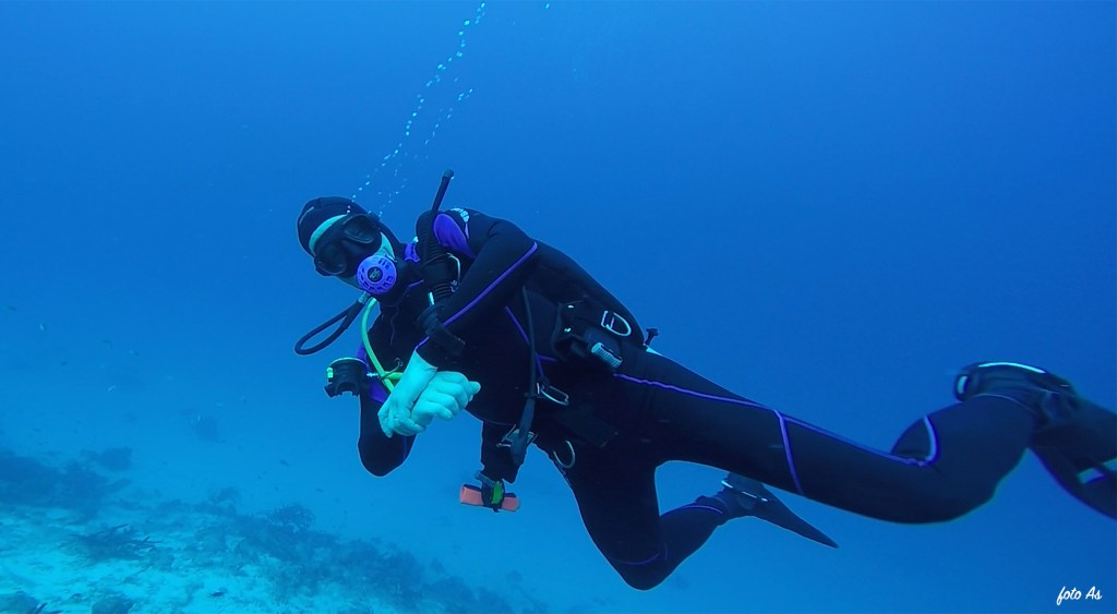 Bonaire diving 2018
