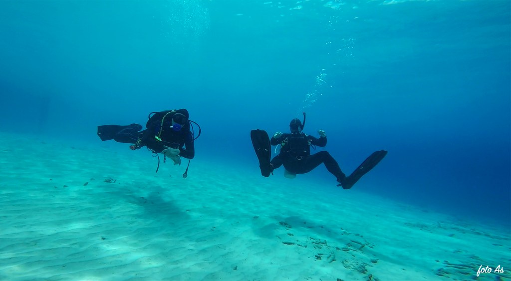 Bonaire diving 2018