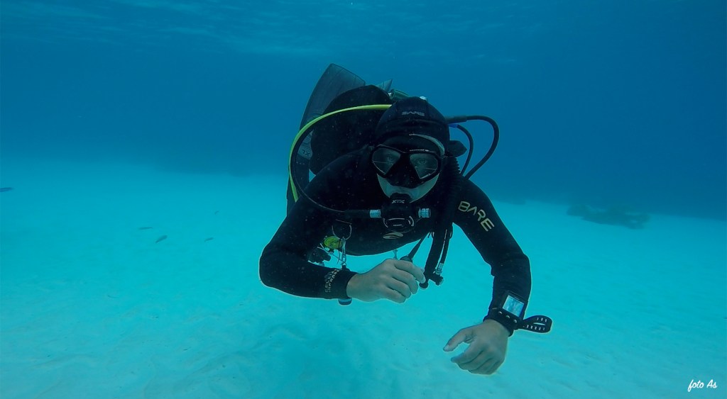 Bonaire diving 2018
