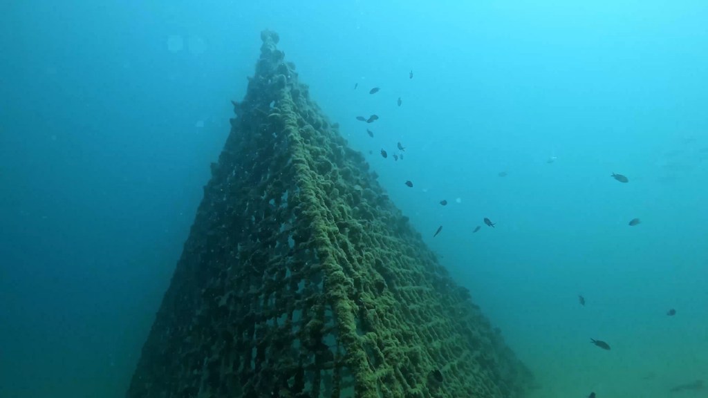 SUBNET DIVING
ŠOLA POTAPLJANAJA
VODENI POTOPI
IZPOSOJA OPREME
UPORABA CENTRA
FOTO ALEŠ SULIČ