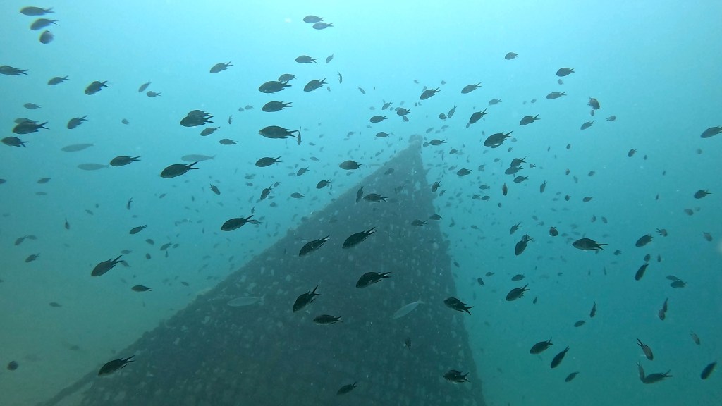SUBNET DIVING
ŠOLA POTAPLJANAJA
VODENI POTOPI
IZPOSOJA OPREME
UPORABA CENTRA
FOTO ALEŠ SULIČ