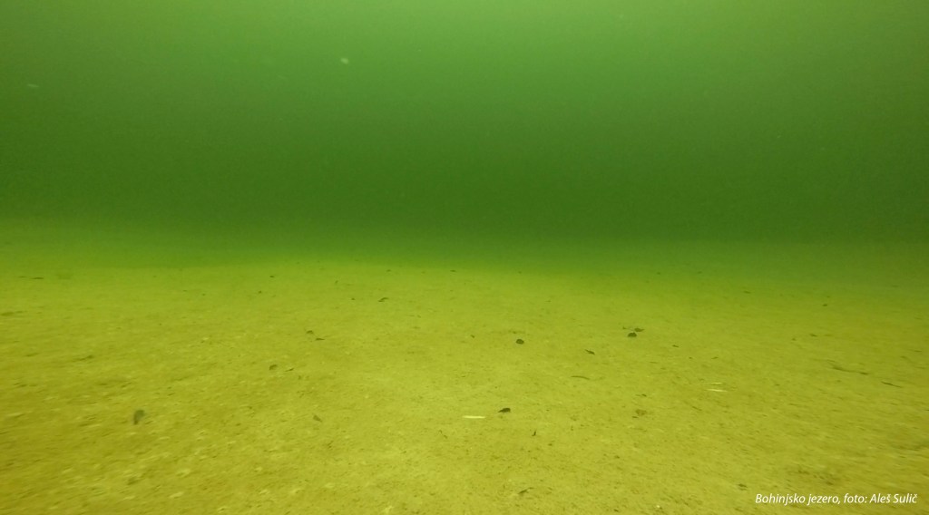 Bohinjsko jezero pod vodo