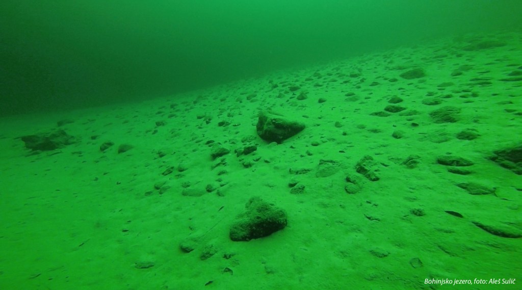 Bohinjsko jezero pod vodo