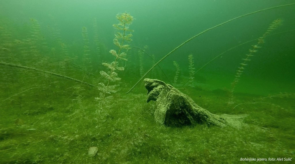 Bohinjsko jezero pod vodo