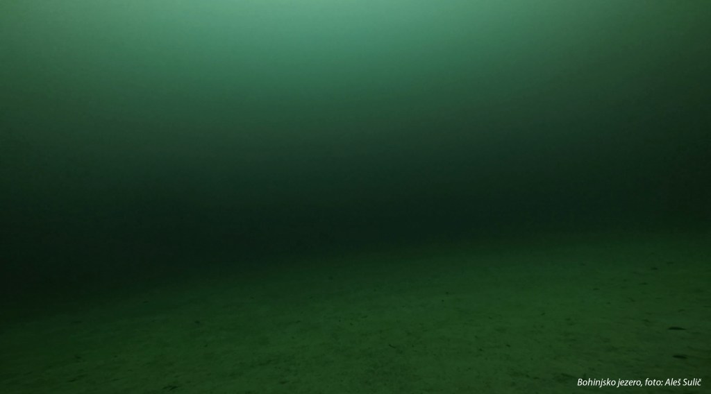 Bohinjsko jezero pod vodo